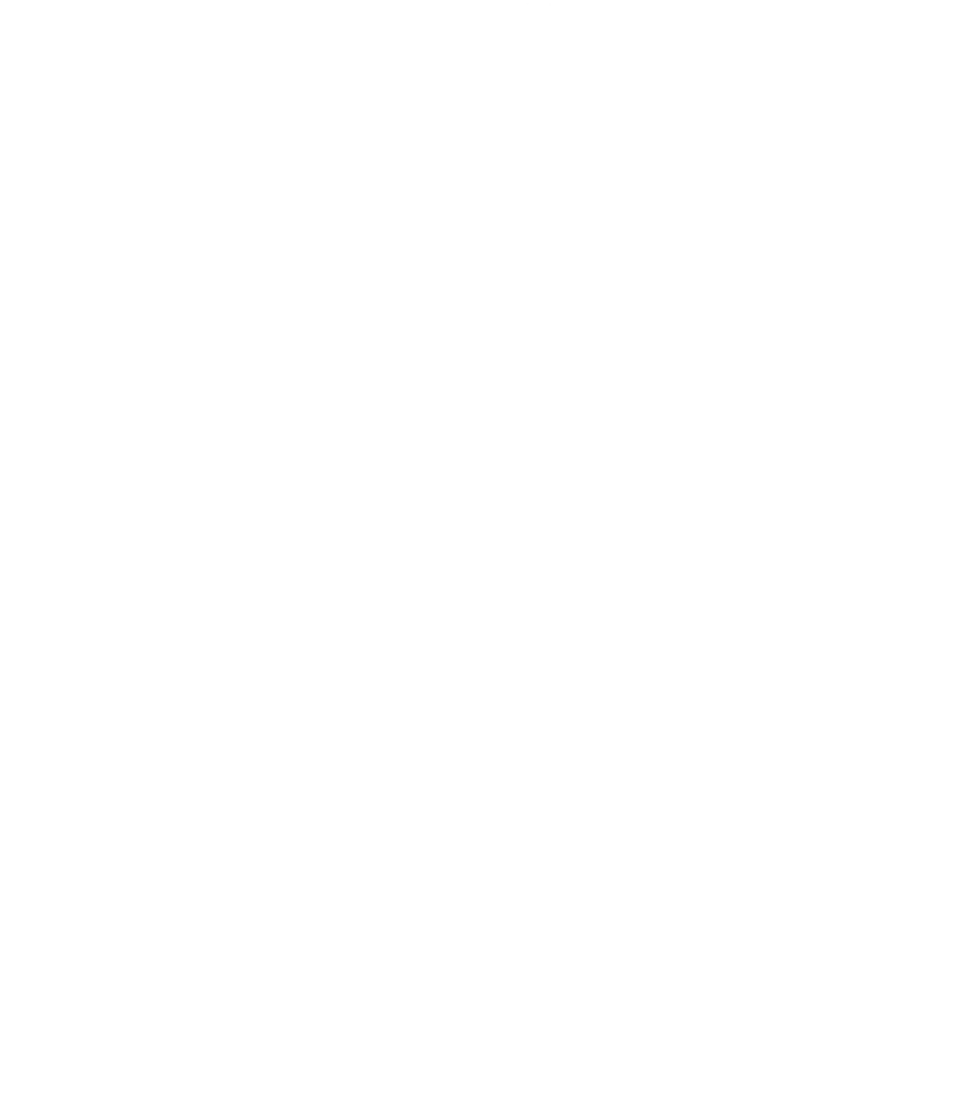 S Logo